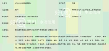 廣西和信高盛非融資性擔(dān)保有限公司防城港分公司 聚焦非融資性擔(dān)保，服務(wù)地方經(jīng)濟