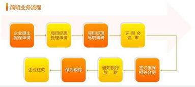 融資性擔(dān)保公司的業(yè)務(wù)流程與核心運作機制