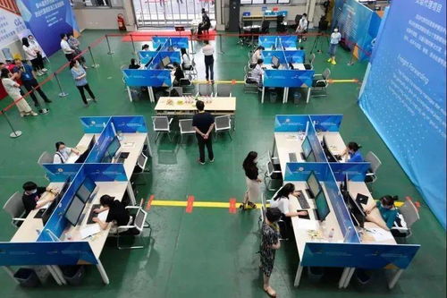 2020年全國行業職業技能競賽——全國物流服務師職業技能競賽重磅啟幕，信息技術咨詢服務成亮點